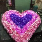 cvecara groblje lesce